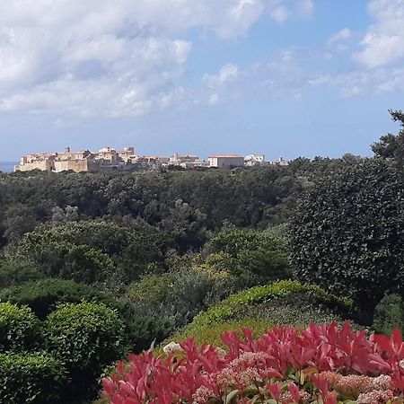 Apartmán Chez Xavier Monacia-d'Aullene Exteriér fotografie